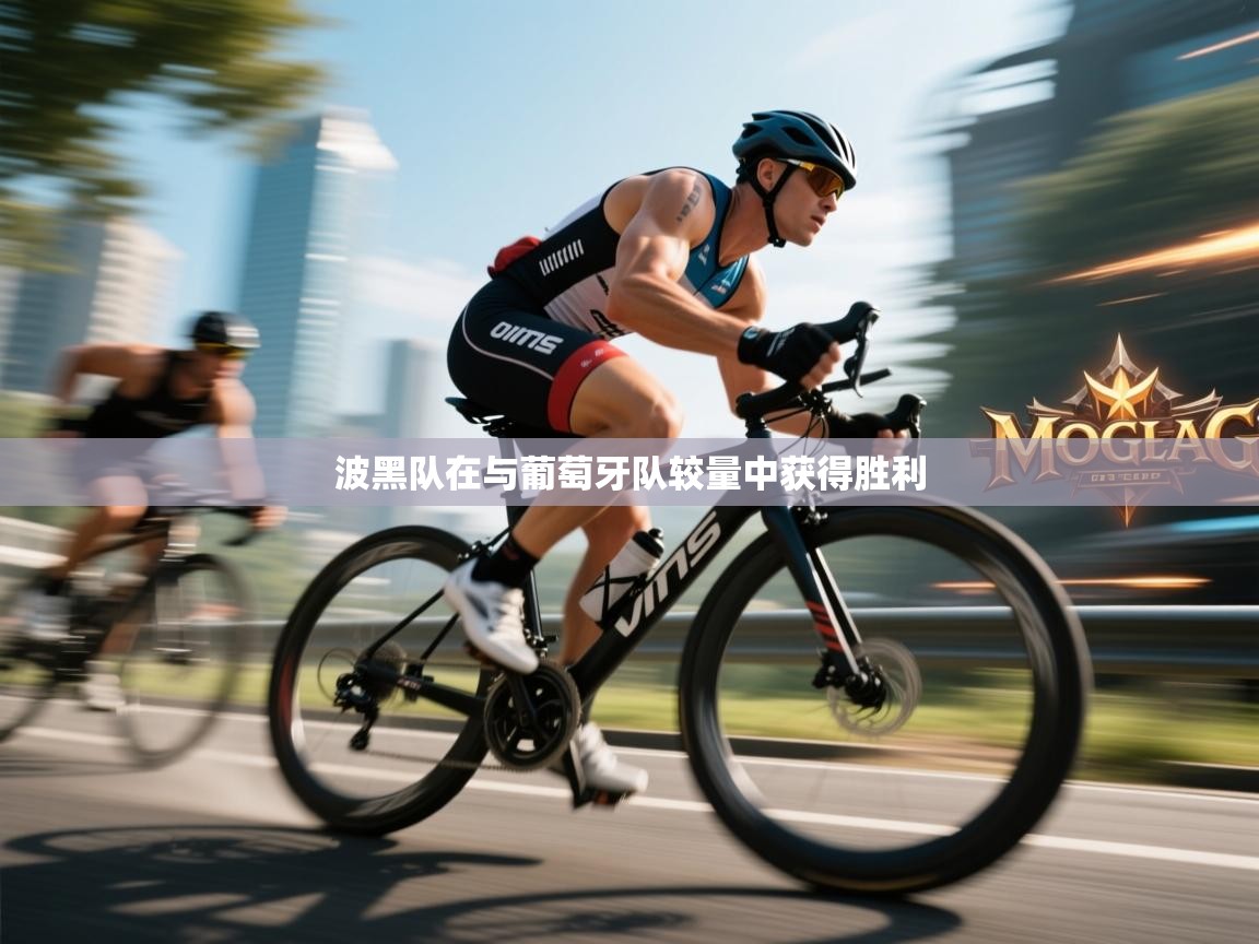 开云体育在线玩-波黑队在与葡萄牙队较量中获得胜利  第2张