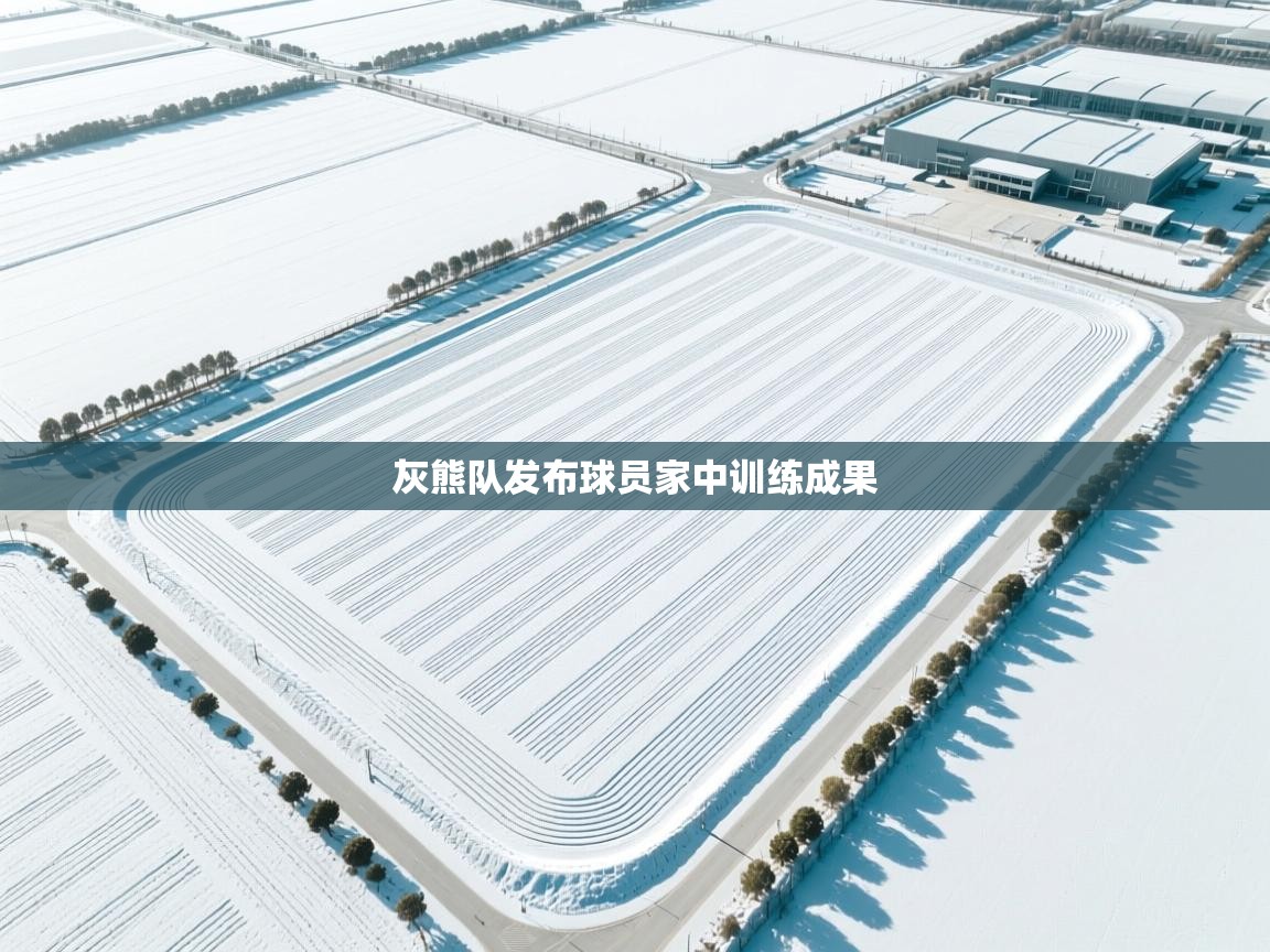 开云体育app官网下载地址-灰熊队发布球员家中训练成果 第2张