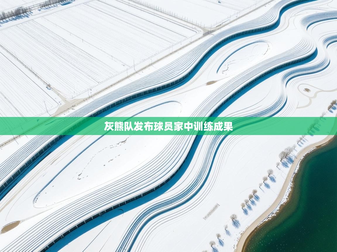 开云体育app官网下载地址-灰熊队发布球员家中训练成果 第3张