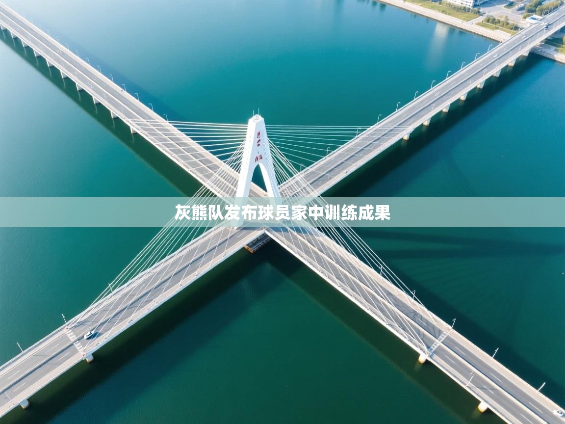 开云体育app官网下载地址-灰熊队发布球员家中训练成果 第4张