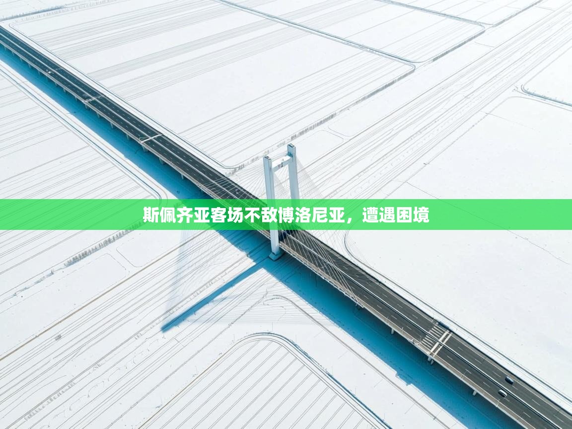 开云kaiyun体育app入口下载官网-斯佩齐亚客场不敌博洛尼亚,遭遇困境 第3张