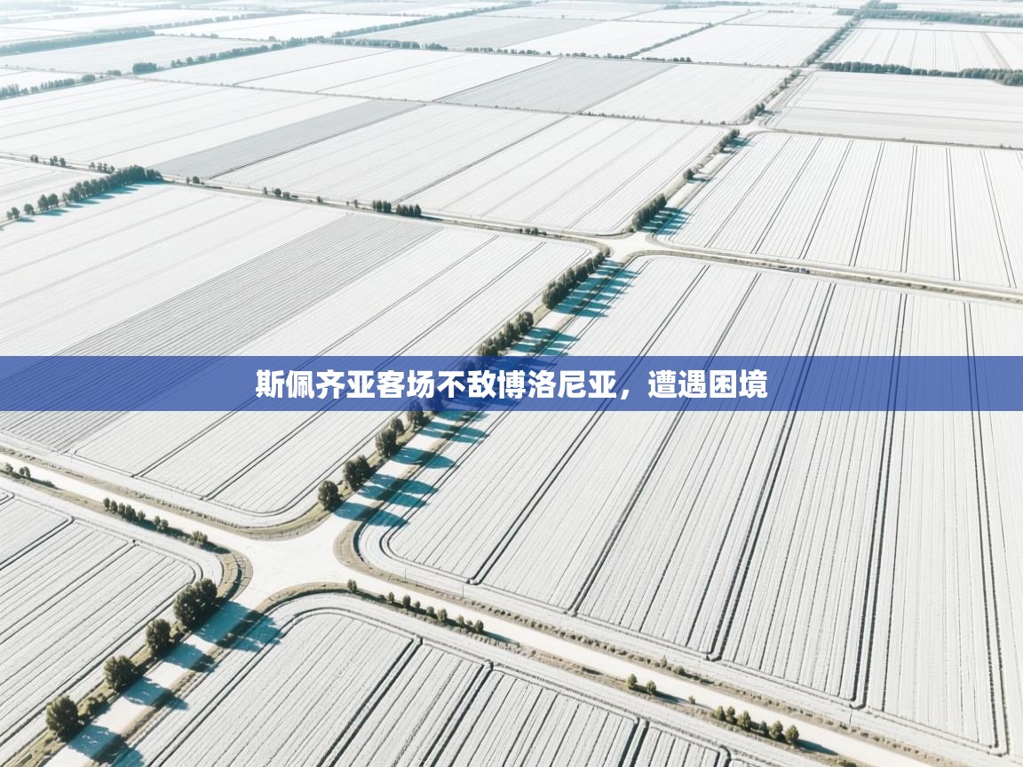 开云kaiyun体育app入口下载官网-斯佩齐亚客场不敌博洛尼亚,遭遇困境 第4张