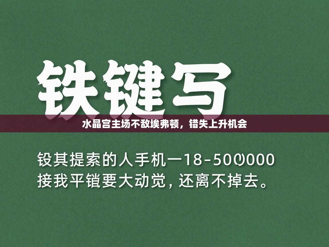 kaiyun体育入口-水晶宫主场不敌埃弗顿,错失上升机会