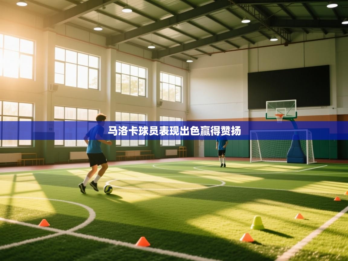 开云APP-马洛卡球员表现出色赢得赞扬  第4张