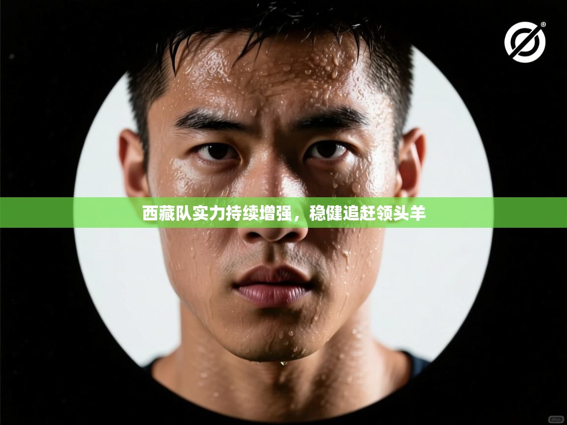 开云体育实名认证入口-西藏队实力持续增强，稳健追赶领头羊  第3张