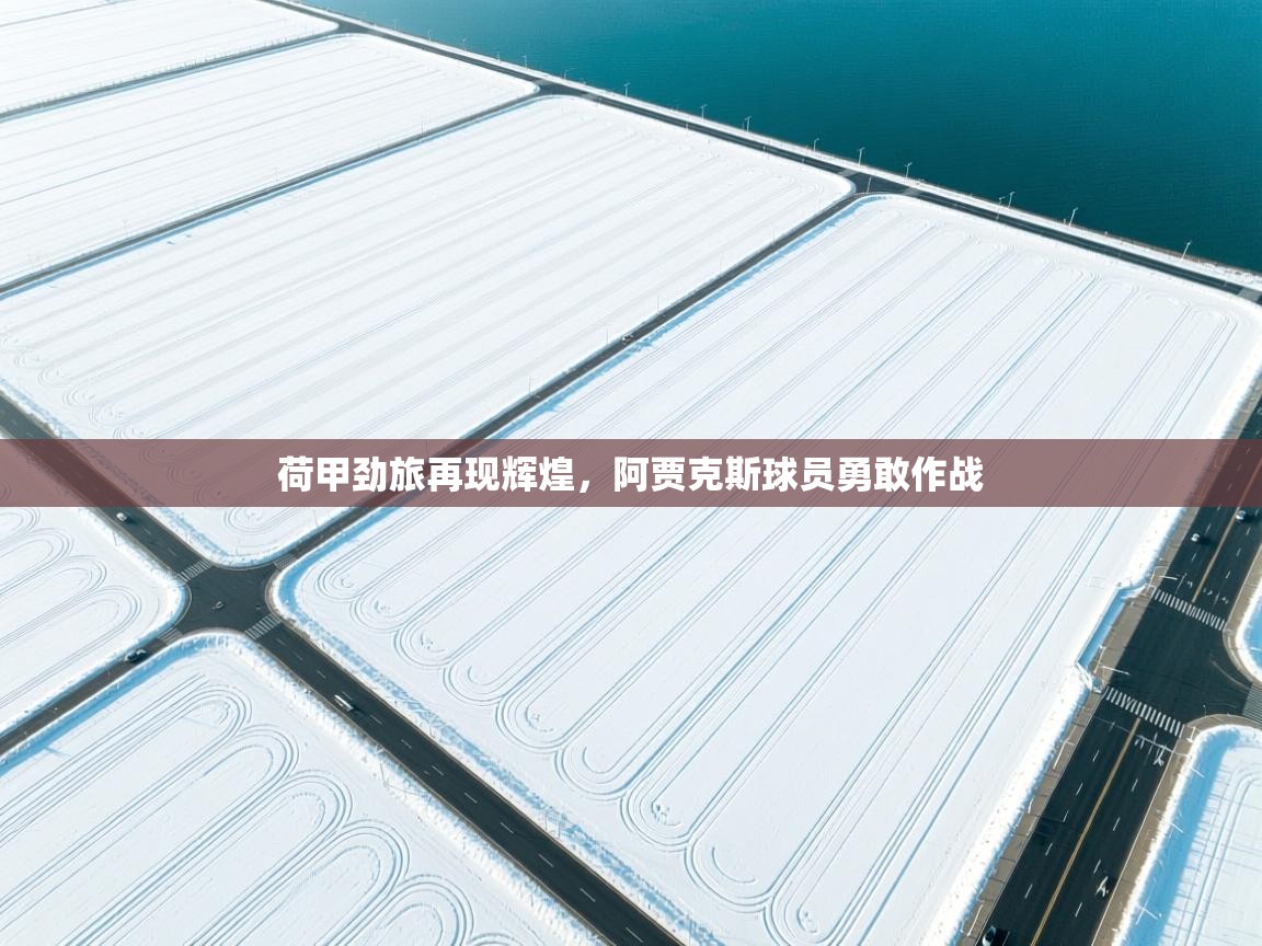 开云体育安卓APK下载-荷甲劲旅再现辉煌，阿贾克斯球员勇敢作战  第1张